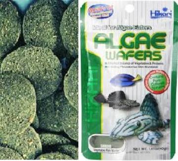 Hikari Algae wafer