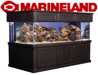 Bow Front Aquarium 46 Gallon – NAFB AQUARIUM